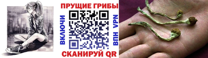 Галлюциногенные грибы мухоморы  Саратов 